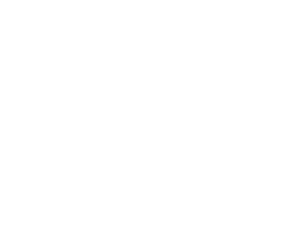 ritsec icon white
